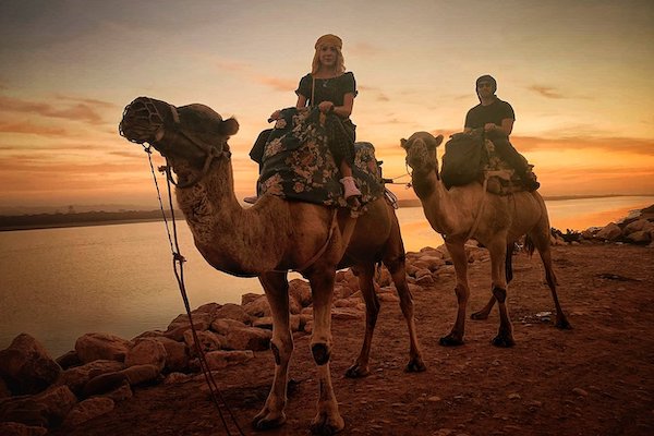 sunset camel rides agadir taghazout Camel Surf